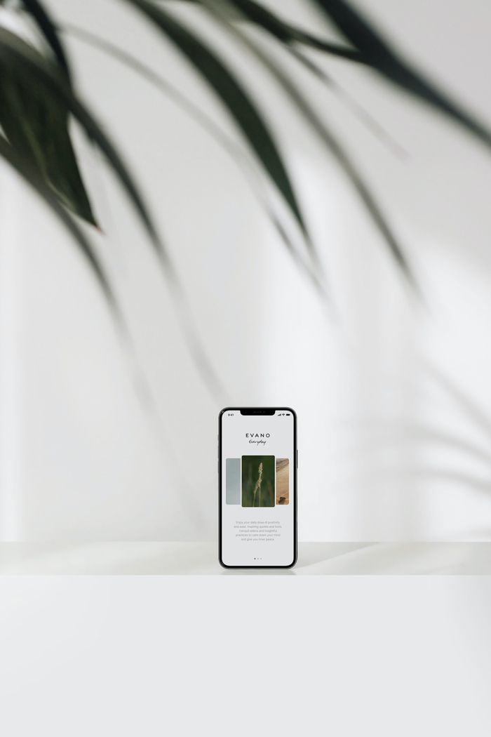 Modern smartphone showcasing a website with minimalist design and plant shadows.